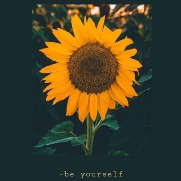 5 star reviews @POSHLIKEABOSS SHOP Now notification- take screenshot, join - Picture 5 of 16